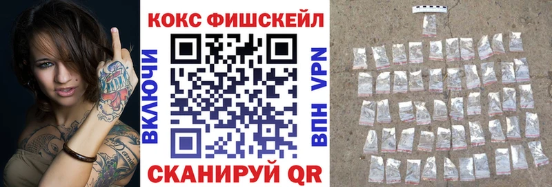 где продают наркотики  Новая Ладога  Кокаин Fish Scale 