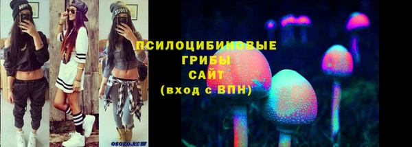 дурь Арсеньев