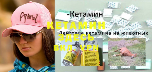 дурь Арсеньев
