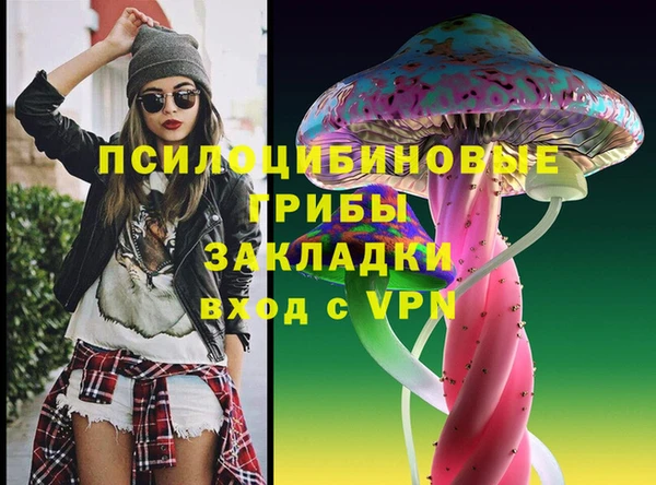 дживик Армянск