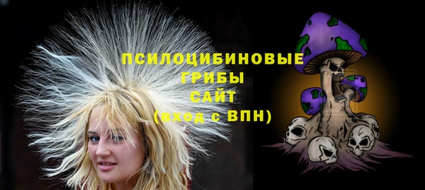 PSILOCYBIN Инсар