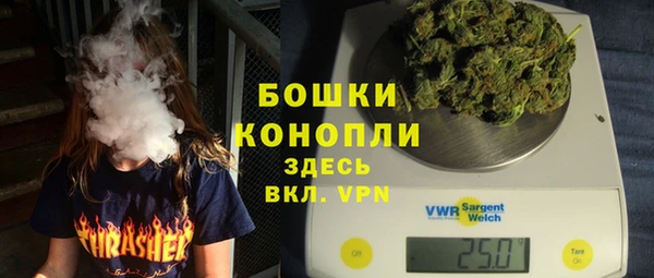 дурь Арсеньев