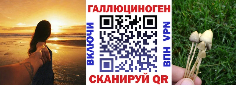 наркотики Новая Ладога Галлюциногенные грибы Cubensis